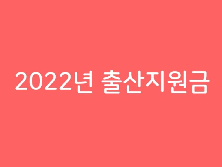 2022년 출산지원금