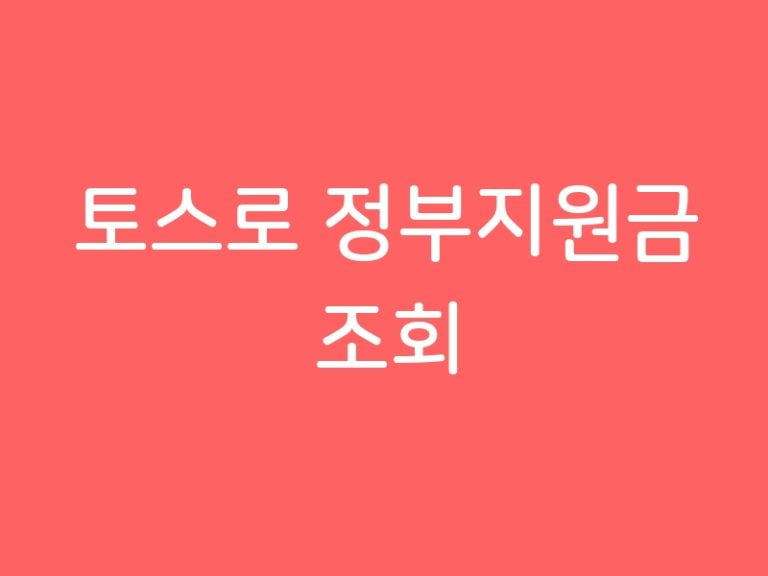 토스로 정부지원금 조회